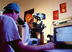 EDDLV 18diagnostico