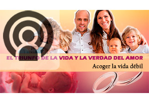 TVVA 08
